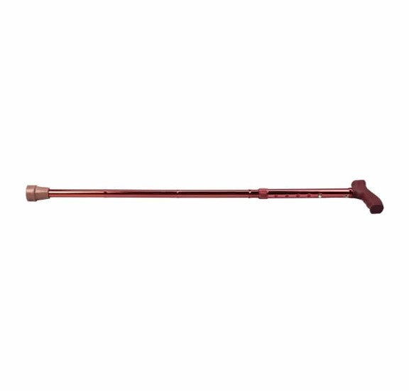 Folding Cane